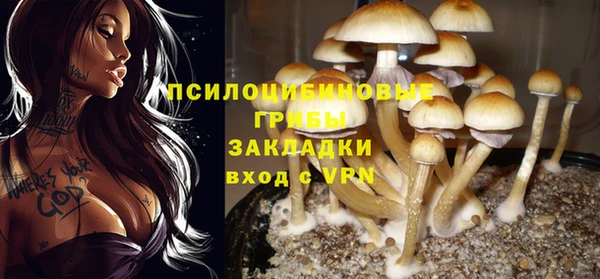 марки nbome Верея